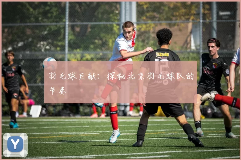 羽毛球巨献：探秘北京羽毛球队的节奏
