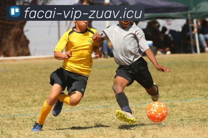 爱游戏体育APP 高清赛事图